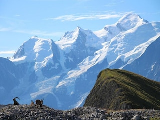 Ferienpark Arâches-la-Frasse Umgebung 24