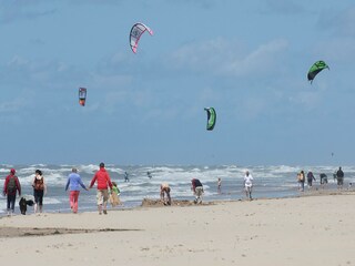 Ferienpark Egmond aan Zee Umgebung 28