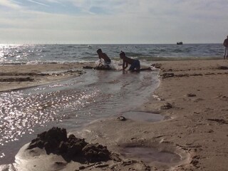 Vakantiepark Egmond aan Zee Omgeving 15