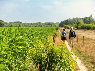 Parc de vacances Rijssen Environnement 16