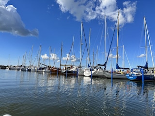 Appartement de vacances Barth Environnement 19