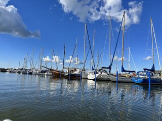 Vakantieappartement Barth Omgeving 19