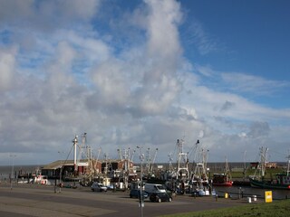 Appartement Dornumersiel Omgeving 11