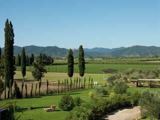 Parco vacanze Montepescali Ambiente 32