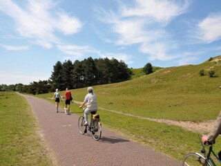 Vakantiepark Egmond aan Zee Omgeving 14