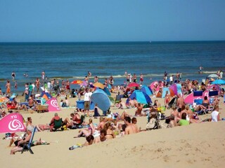 Vakantiepark Egmond aan Zee Omgeving 22