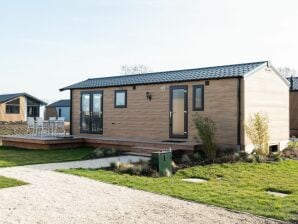 Holiday park Nice chalet with dishwasher, near the river Maas - Velddriel - image1