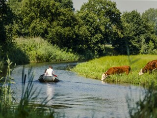 Parc de vacances Rijssen Environnement 15