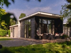 Vakantiepark Design chalet met vaatwasser, nabij water - Rijssen - image1