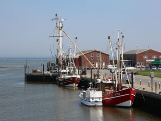 Vakantiehuis Dornumersiel Omgeving 26