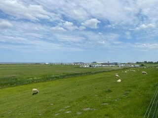 Vakantiehuis Dornumersiel Omgeving 27