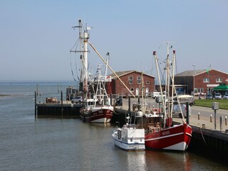 Maison de vacances Dornumersiel Environnement 22