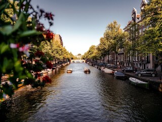 Ferienpark Egmond aan Zee Umgebung 30