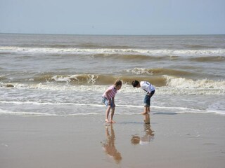 Parc de vacances Egmond aan Zee Environnement 24
