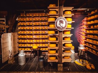 Parc de vacances Egmond aan Zee Environnement 33