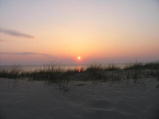 Vakantiepark Egmond aan Zee Omgeving 35