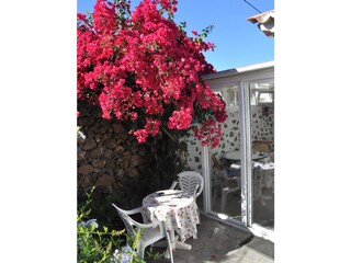 Maison de vacances Los Llanos de Aridane Environnement 10