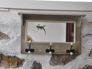 Maison de vacances Los Llanos de Aridane  24