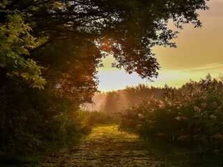 Parc de vacances Rijssen Environnement 20