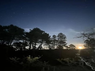 Holiday park Molières-sur-Cèze Environment 38