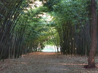 Parc de vacances Molières-sur-Cèze Environnement 24