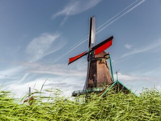 Parc de vacances Egmond aan Zee Environnement 28