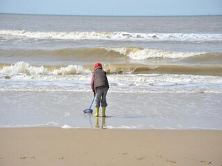 Parc de vacances Egmond aan Zee Environnement 24