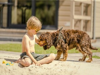 Parc de vacances Rijssen  34