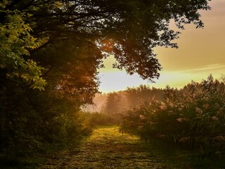 Parc de vacances Rijssen Environnement 25