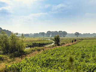 Parc de vacances Rijssen Environnement 19