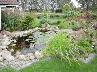 Vakantiepark Kołczewo Omgeving 30