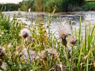 Ferienpark Rijssen Umgebung 18