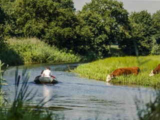 Parc de vacances Rijssen Environnement 27