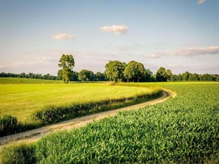 Ferienpark Rijssen Umgebung 29