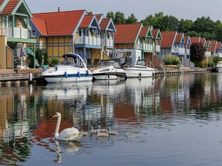 Vakantiepark Hafendorf Rheinsberg Omgeving 25