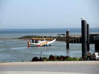 Maison de vacances Dornumersiel Environnement 25