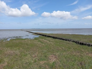 Ferienhaus Dornumersiel Umgebung 33