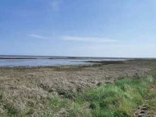 Vakantiehuis Dornumersiel Omgeving 16