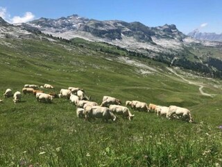Ferienpark Arâches-la-Frasse Umgebung 19