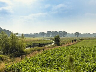 Parc de vacances Rijssen Environnement 10