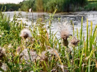 Parc de vacances Rijssen Environnement 12