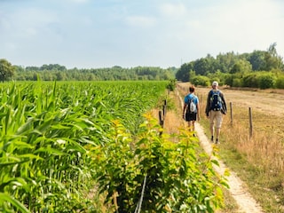 Vakantiepark Rijssen Omgeving 4