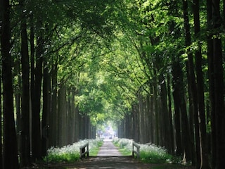 Parc de vacances Rijssen Environnement 3