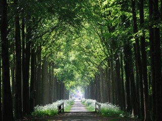 Vakantiepark Rijssen Omgeving 3