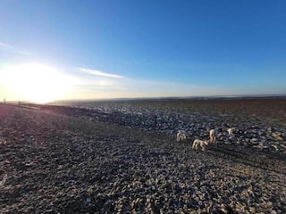 Ferienpark Terkaple Umgebung 39