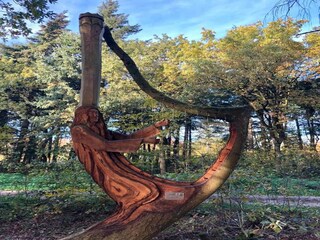 Vakantiepark Terkaple Omgeving 35