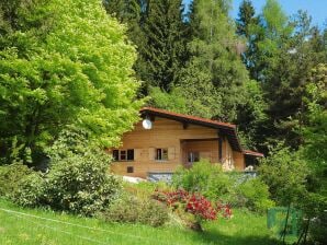 Holiday park Holiday home Schneider, Rinchnach - Rinchnach - image1