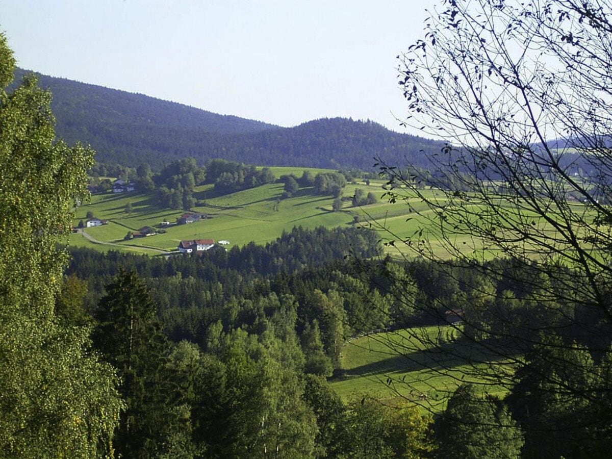 Parco vacanze Rinchnach Registrazione all'aperto 1