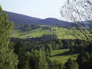 Vakantiepark Rinchnach Buitenaudio-opname 5