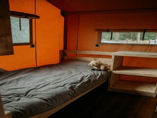 Parco vacanze Rijssen Caratteristiche 10